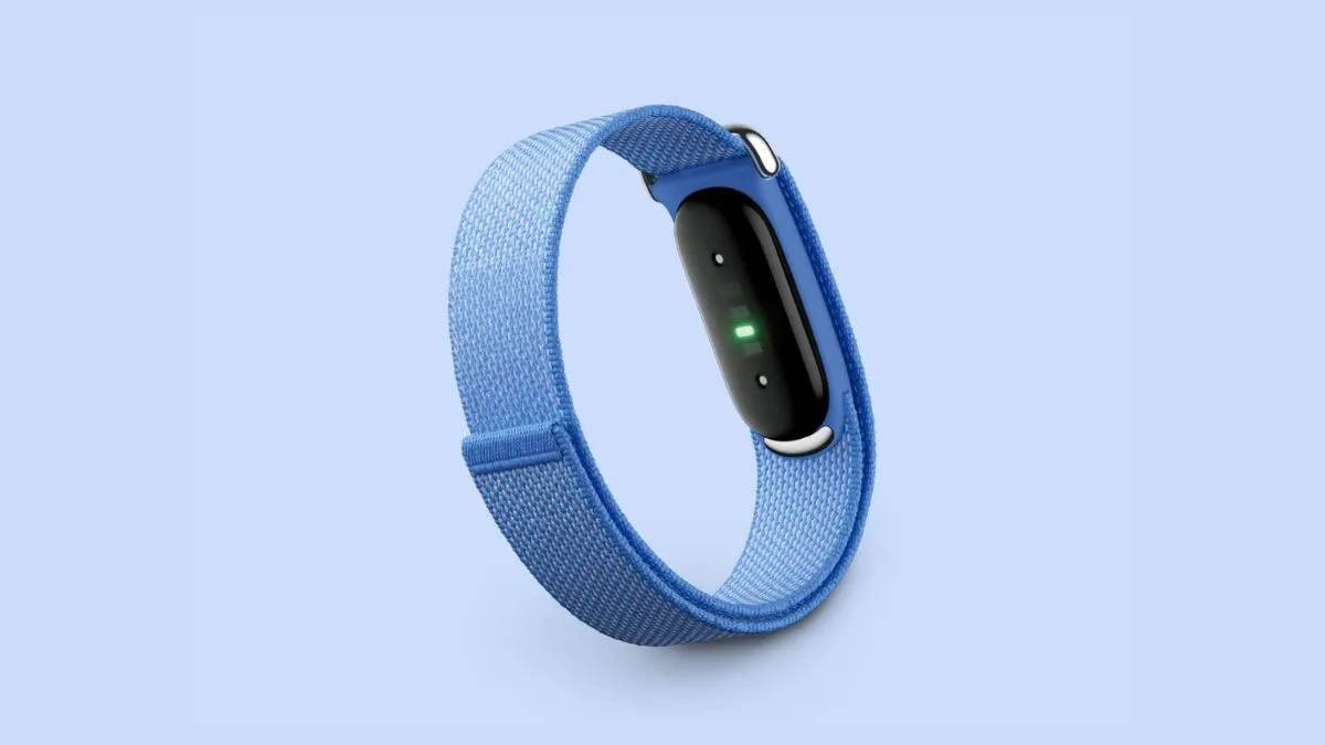 google fitbit air review