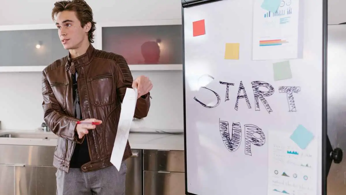 Internal Management Structure of the Startup